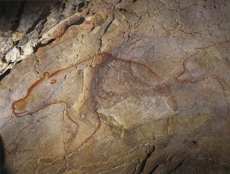 Cave painting of a cave  bear