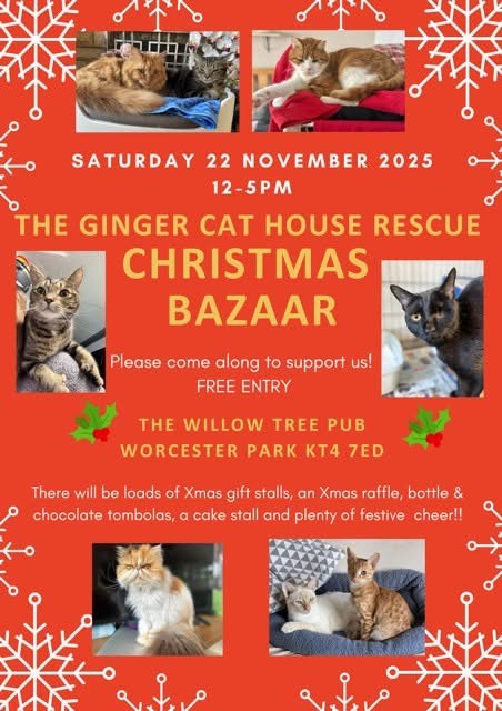 The Ginger Cat House Rescue Christmas Bazaar The Ginger Cat House Rescue Christmas Bazaar